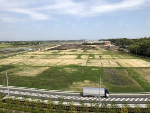 整備予定地の現況。造成が始まっている