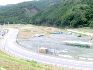 清水公園の整備予定地