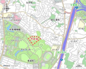 新県立図書館等複合施設の建設予定地