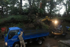 倒木の撤去に地元建設業者が取り組む（袖ケ浦市内、18日撮影）