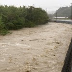 濁流があふれる寸前の山名川（南房総市内）