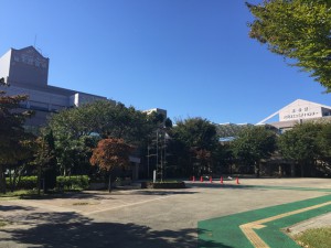 劣化度調査を予定する稲毛区役所。右は穴川コミュニティセンター